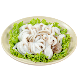 Bạch tuộc Bạch tuộc