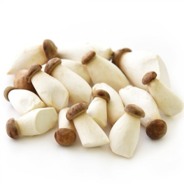 Nấm đùi gà baby Nấm đùi gà baby