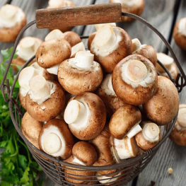 Nấm mỡ Nấm mỡ