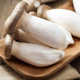 Nấm đùi gà Nấm đùi gà